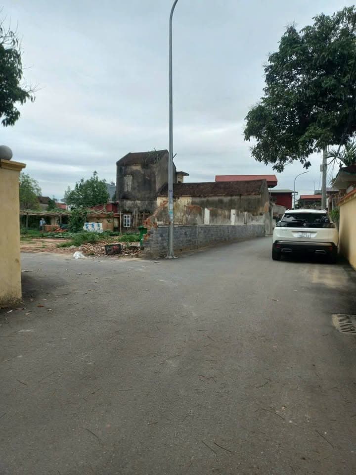 Bán đất Tt. Gia Bình, H. Gia Bình, T. Bắc Ninh - Ảnh 2