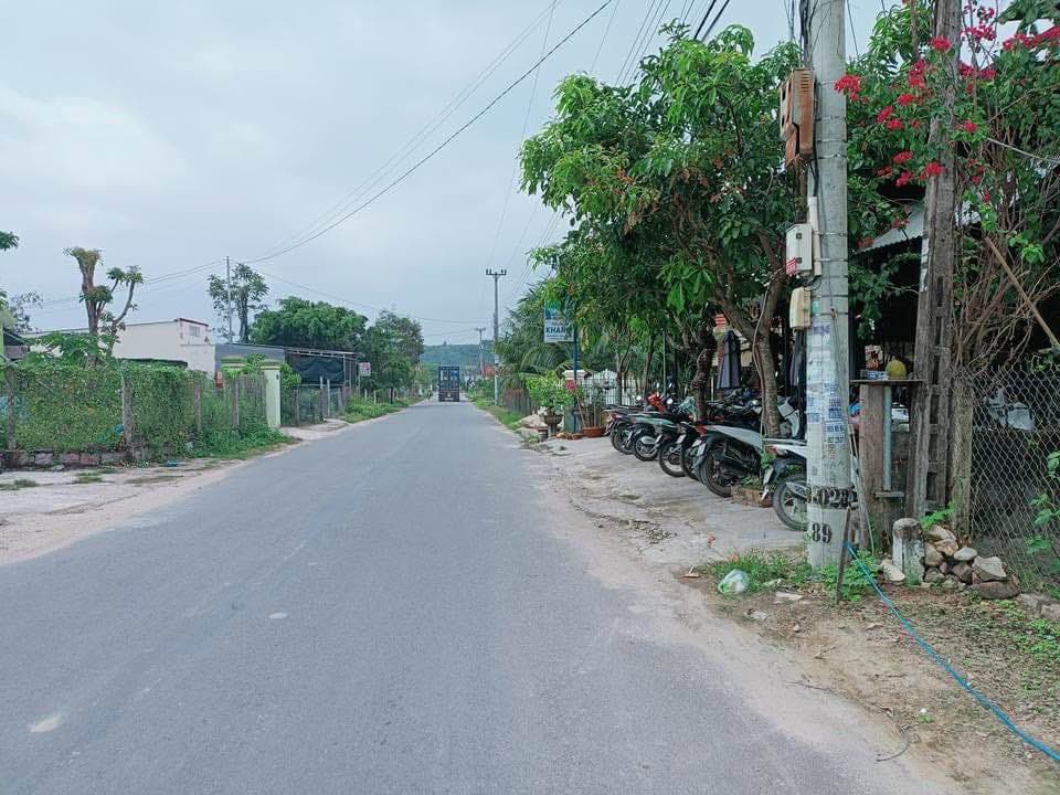 Bán đất Đ. Tỉnh lộ 8, X. Diên Lâm, H. Diên Khánh, T. Khánh Hòa - Ảnh 2