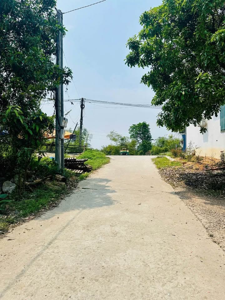 Bán đất Đ. Trưng Nữ Vương, Tx. Hương Thủy, T. Thừa Thiên Huế - Ảnh 2