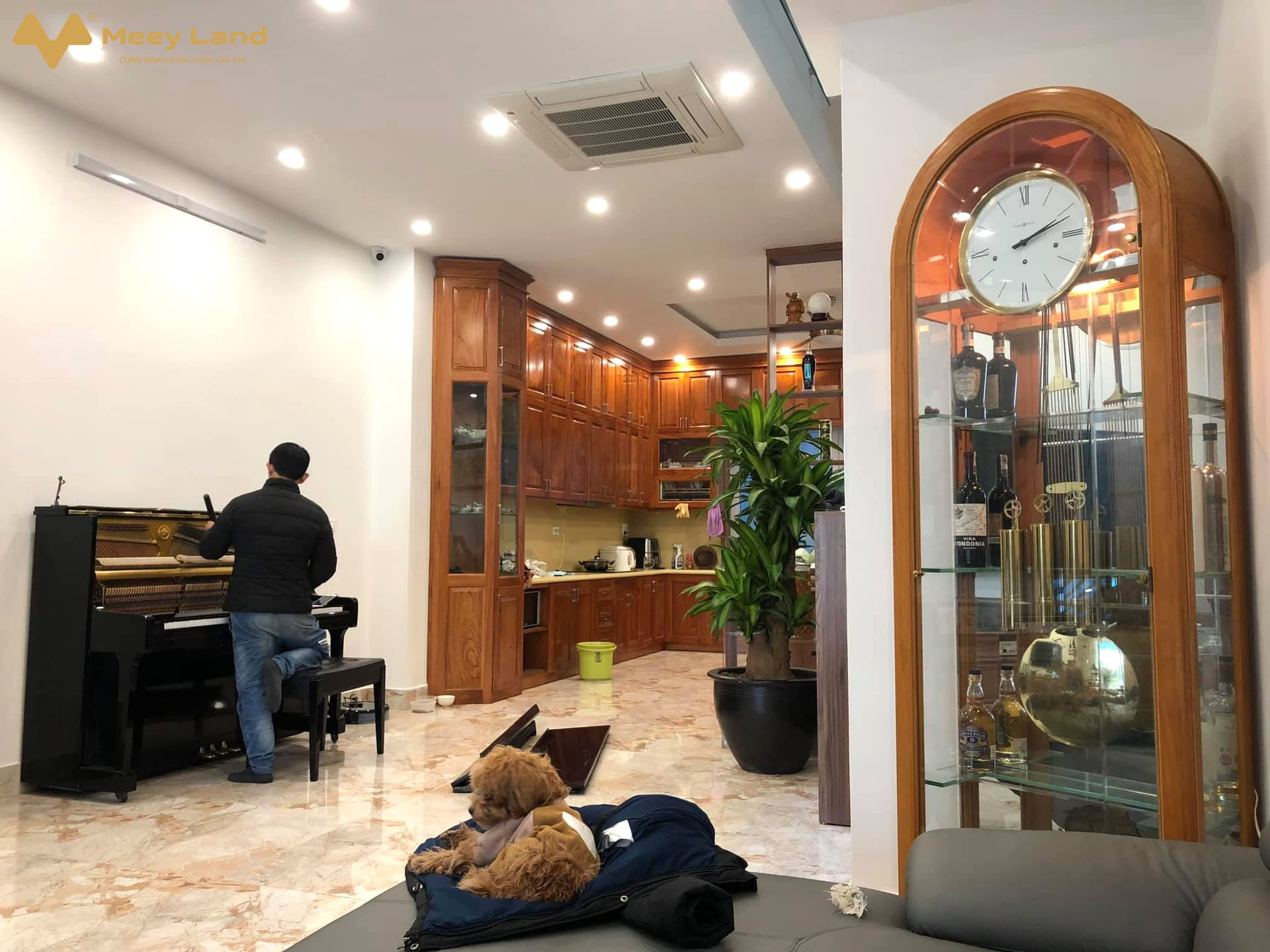 Bán biệt thự liền kề KĐT Dương Nội, Đ. Nam Cường, P. Dương Nội, Q. Hà Đông, Tp. Hà Nội - Ảnh 3