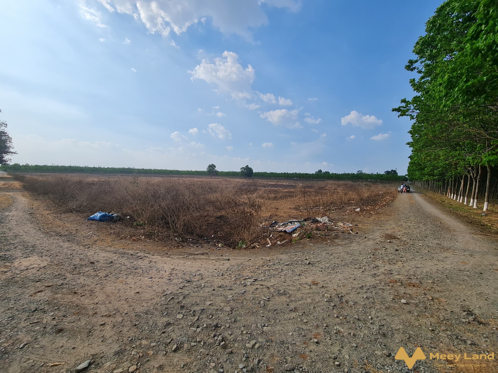 Bán đất Bán đất 2 mặt tiền, Đ. 44, X. Bình Sơn, H. Long Thành, T. Đồng Nai - Ảnh 3