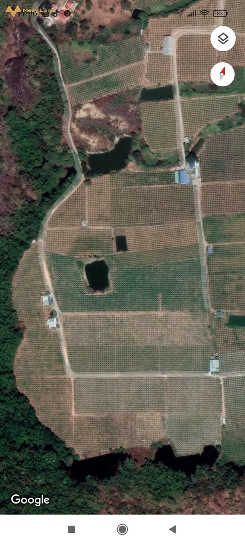 Bán trang trại Bán Vườn Thanh Long, Đ. 719, X. Hàm Minh, H. Hàm Thuận Nam, T. Bình Thuận