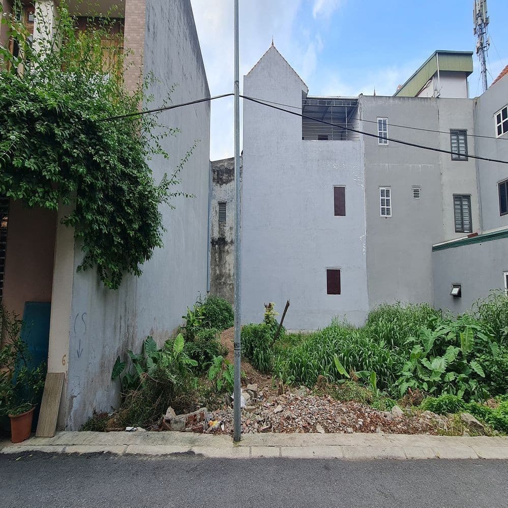 Bán Đất cạnh Học viện VNUA. Trâu Quỳ, Gia Lâm. 60m2 4x15. Ngõ 3m nhỉnh 8 tỷ. Lh 0989894845 Tôi có lô đấ - Ảnh 2