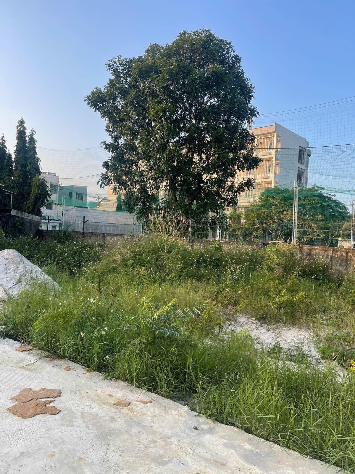 Bán đất Đinh Thị Hoà Sơn Trà gần biển, 87m² đường 7.5m, vị trí siêu tiềm năng - Ảnh 2