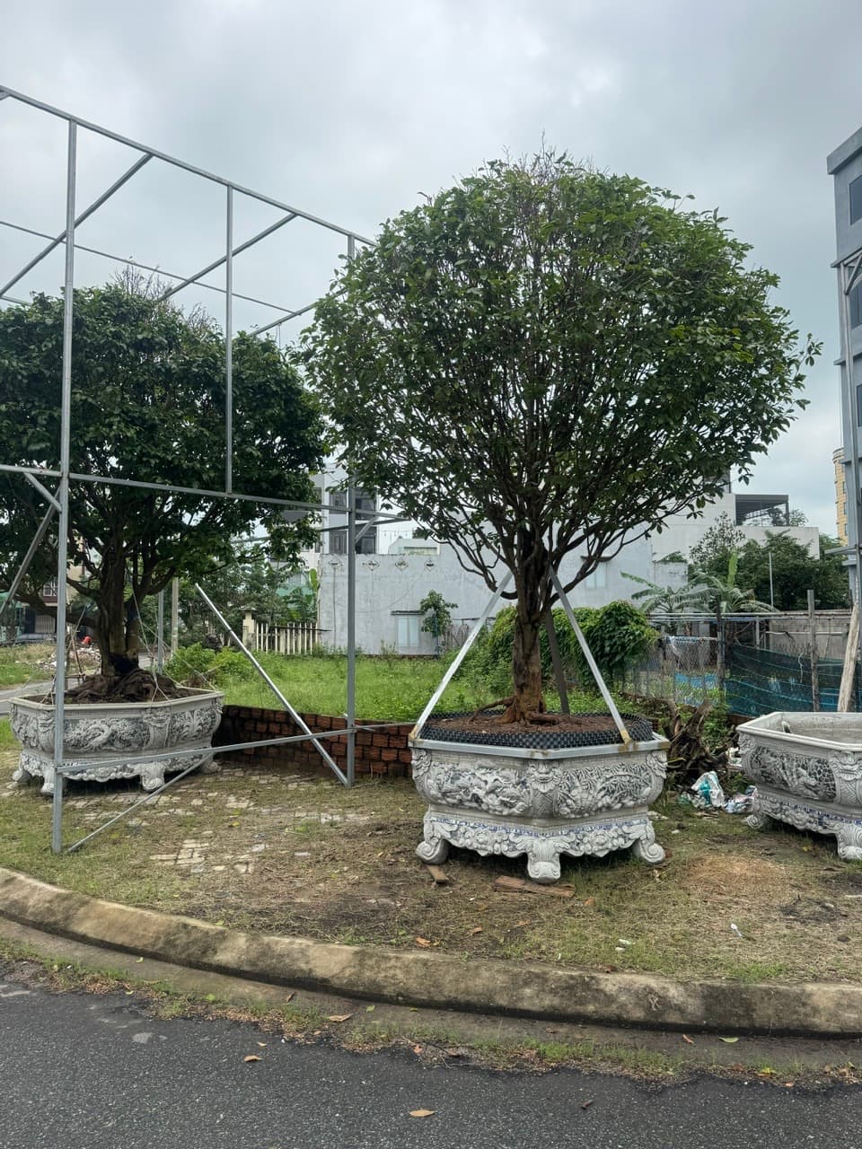 Bán đất KĐT Hòa Quý đường Trần Quý Kiên vị trí đẹp, 120m2, chỉ 5,5 tỷ - Ảnh 3