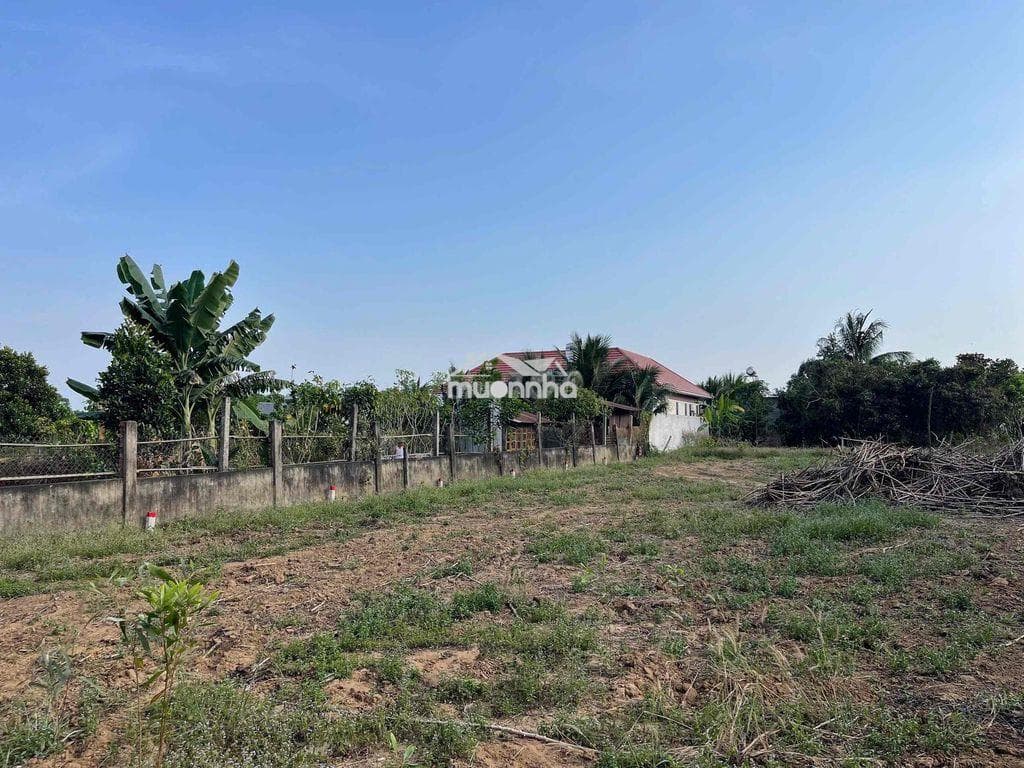 Bán đất chính chủ bán gấp giá ngộp - Ảnh 3