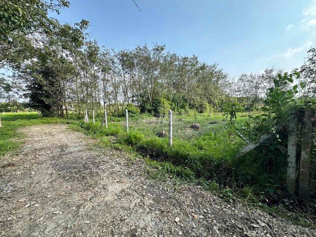 1.000m2 có 120m2 thổ cư đương xe hơi 5 tấn thông đất sạch giá 2.7 tỷ T - Ảnh 3