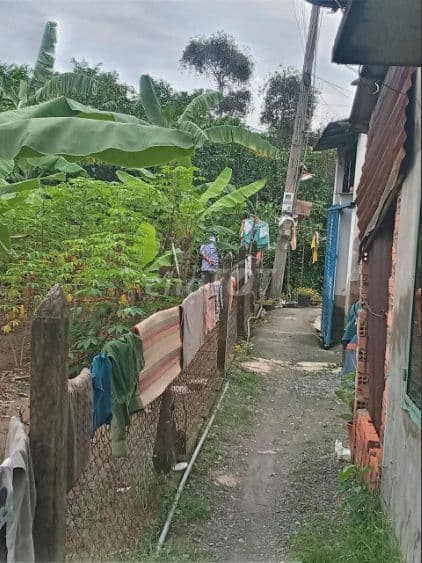 Nhà 324.8m2, sổ riêng, Tân Thới Nhì, 9x32 chưa thổ, 1.55 tỷ - Ảnh 2