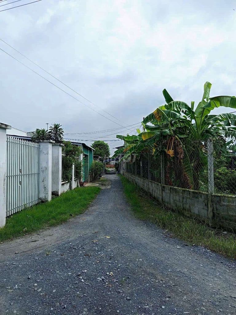 Bán đất ngay tân phú trung - tỉnh lộ 2 , 300m2 , đường ô tô thông - Ảnh 3