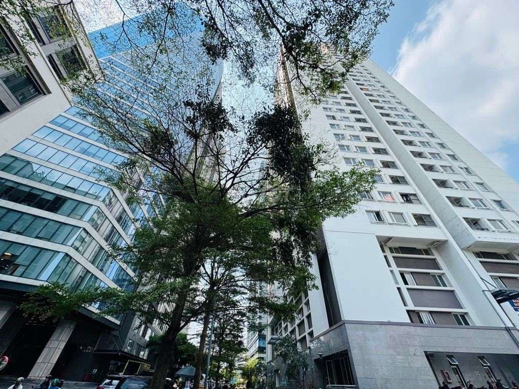 Hiếm,42m2,Sát Q1,view pháo hoa,SHR, nhỉnh 4t