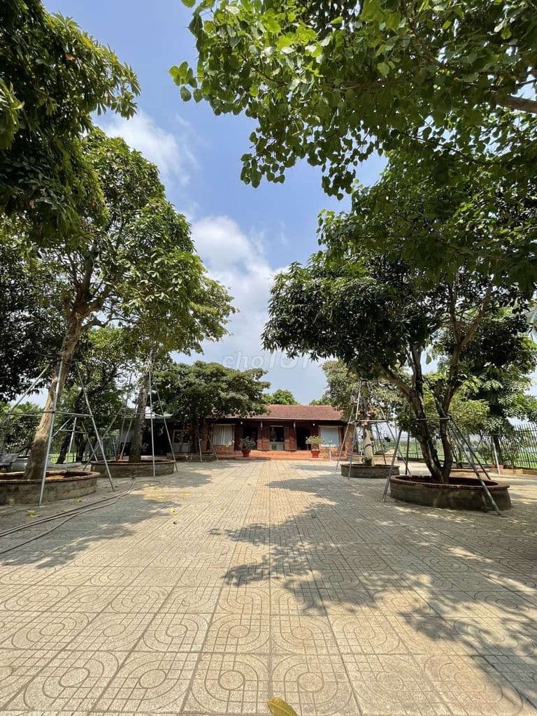 Khuôn viên vườn 2200m2 có nhà kiên cố và vườn cây lớn View Rạch Đá Hàn - Ảnh 3