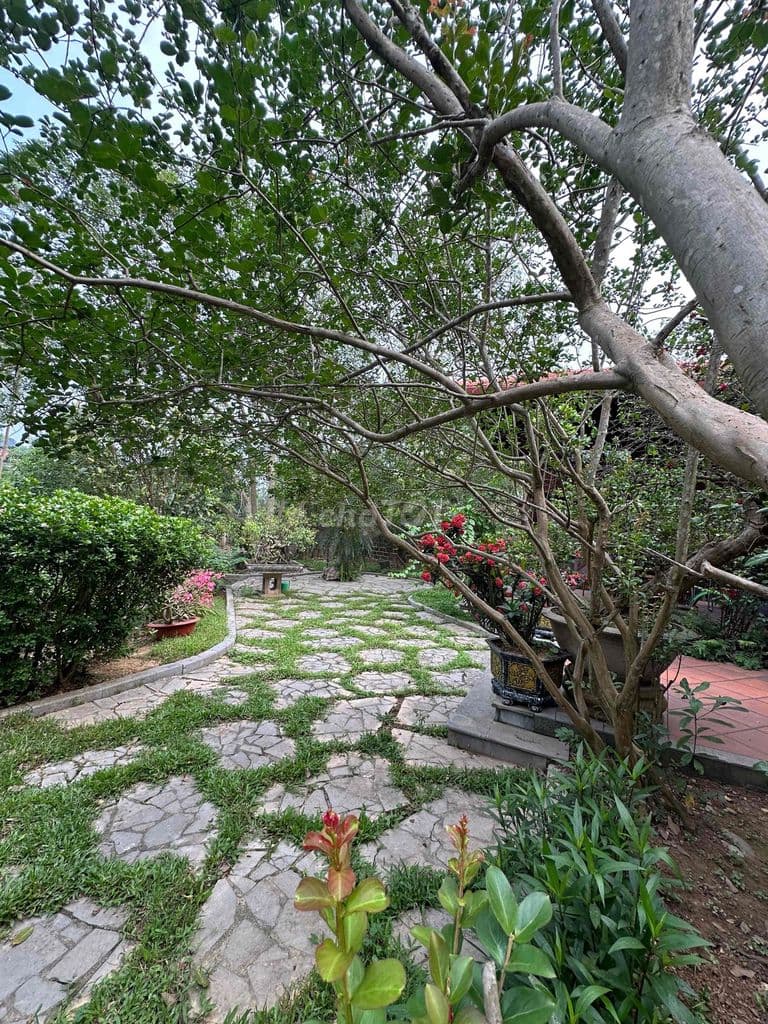 Em để lại nhà hàng xóm nghệ sĩ Xuân Hinh - Ảnh 2