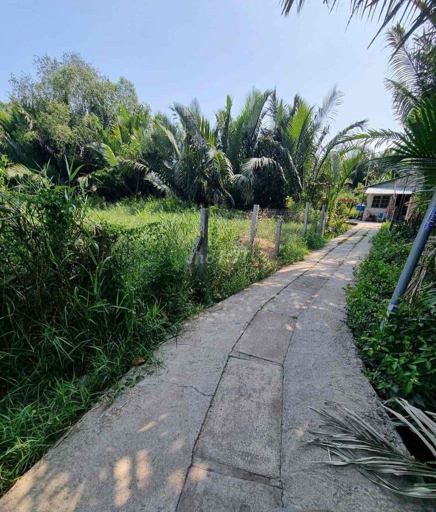 Đất vườn, quy hoạch khu dân cư hiện hữu. nhơn Đức Nhà Bè - Ảnh 2