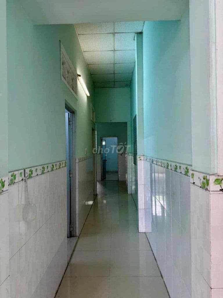 5x20 Tân THOI NHI - Ảnh 2