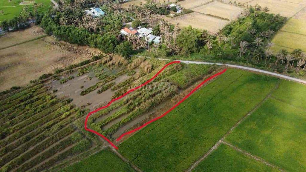 2000m2 đất nông nghiệp - tân nhựt