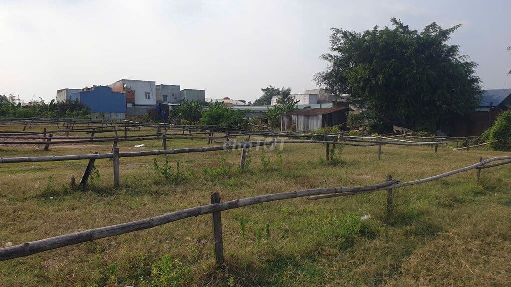 HOT- Bán gấp lô đất DT 510m2 (TC 340m2) mặt tiền XTS 37, Xuân Thới Sơn - Ảnh 3