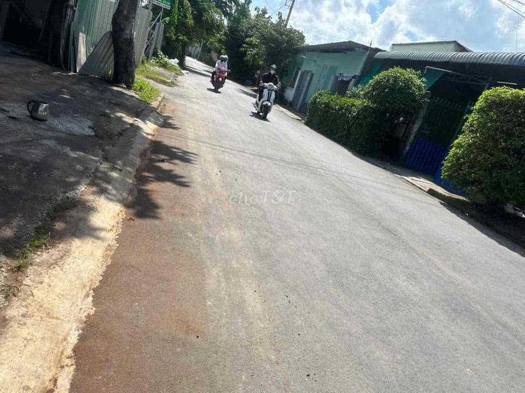 🔥ĐẤT MT NHỰA 10m Thông-5X24m-Gần Chợ Đại Hải - Ảnh 2