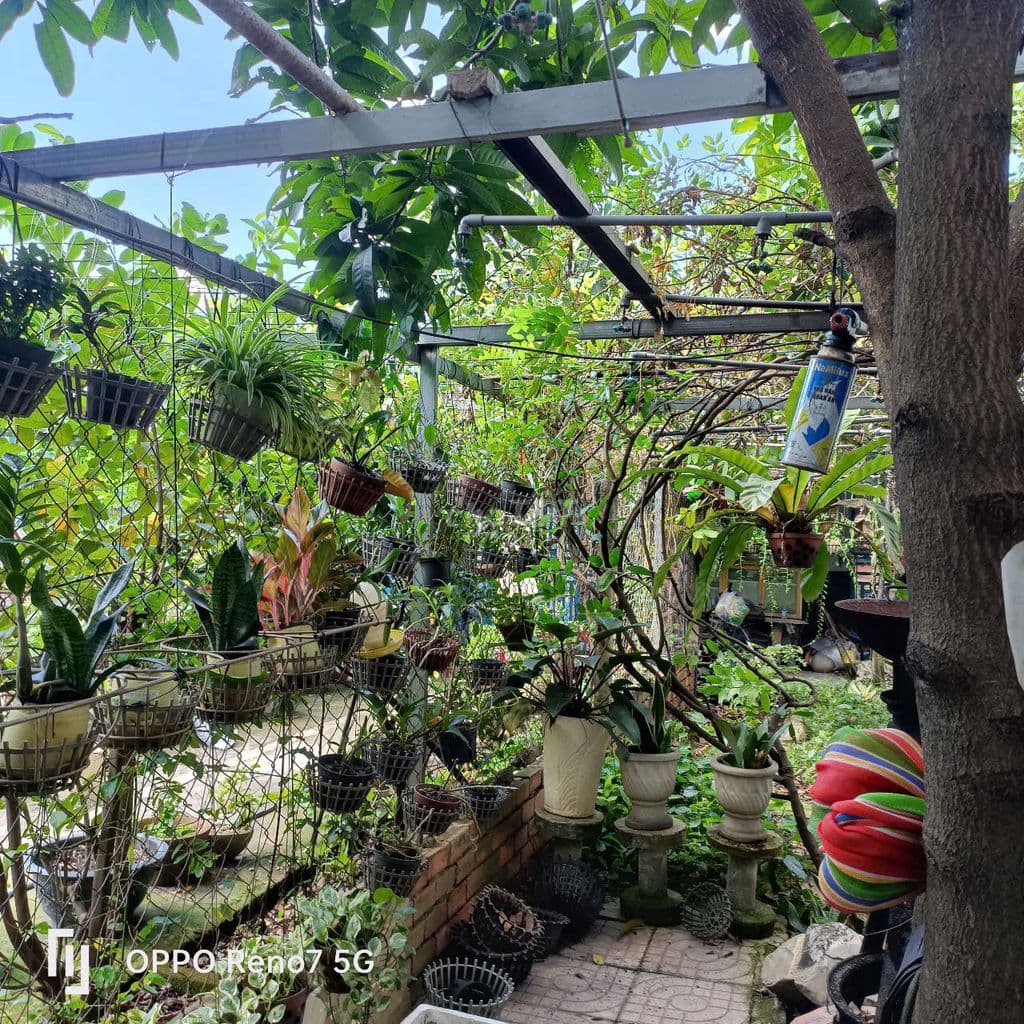 Bán đất 5*24m Trương Thị Như. Gần UBND xã Xuân Thới Sơn - Ảnh 2