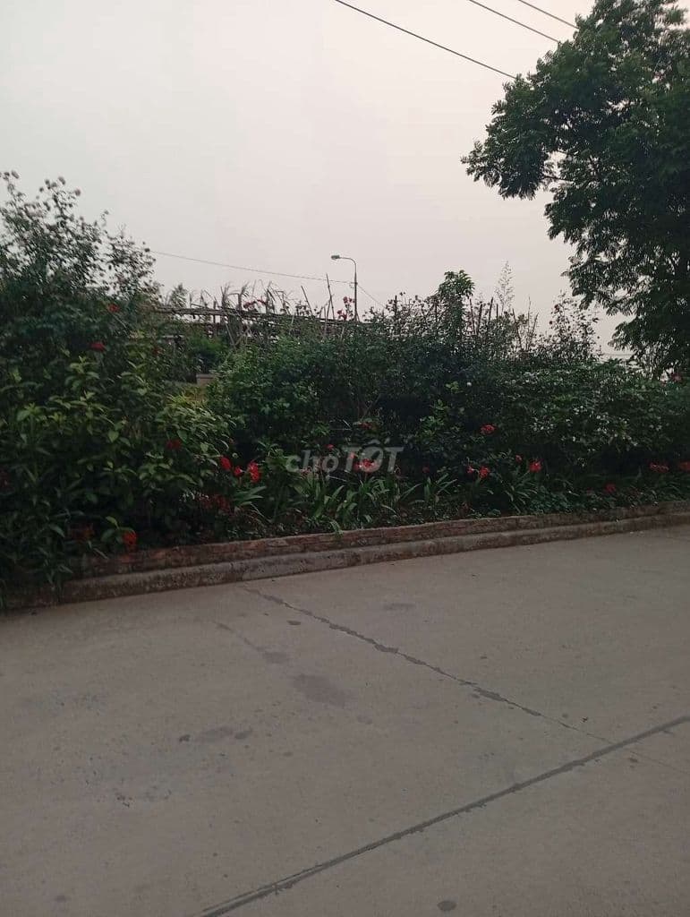 Tôi muốn bán Đất - Ảnh 3