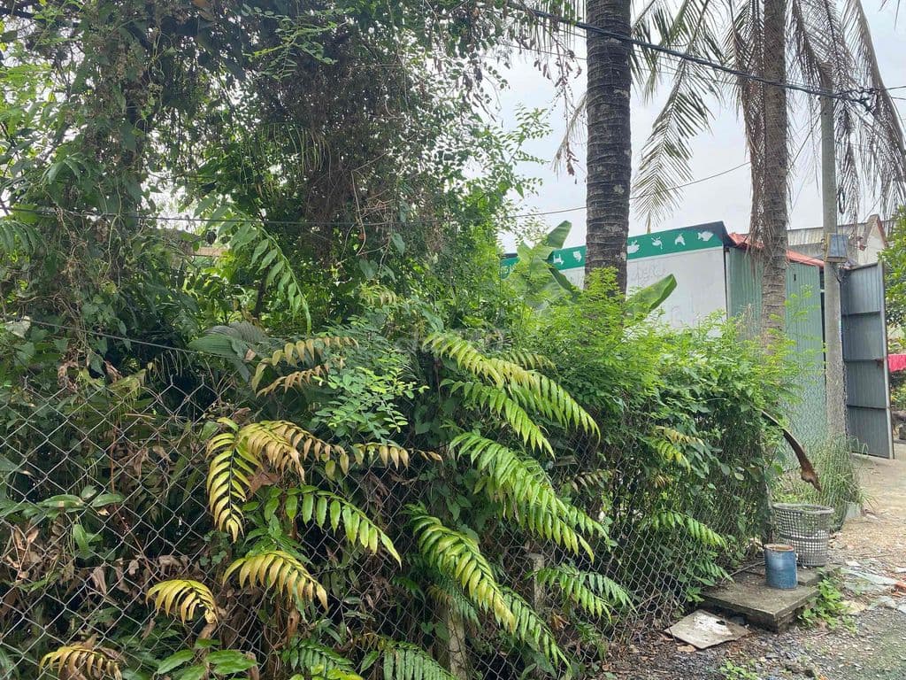 Cần bán nhanh 189 m2 đất Nhị Bình 15