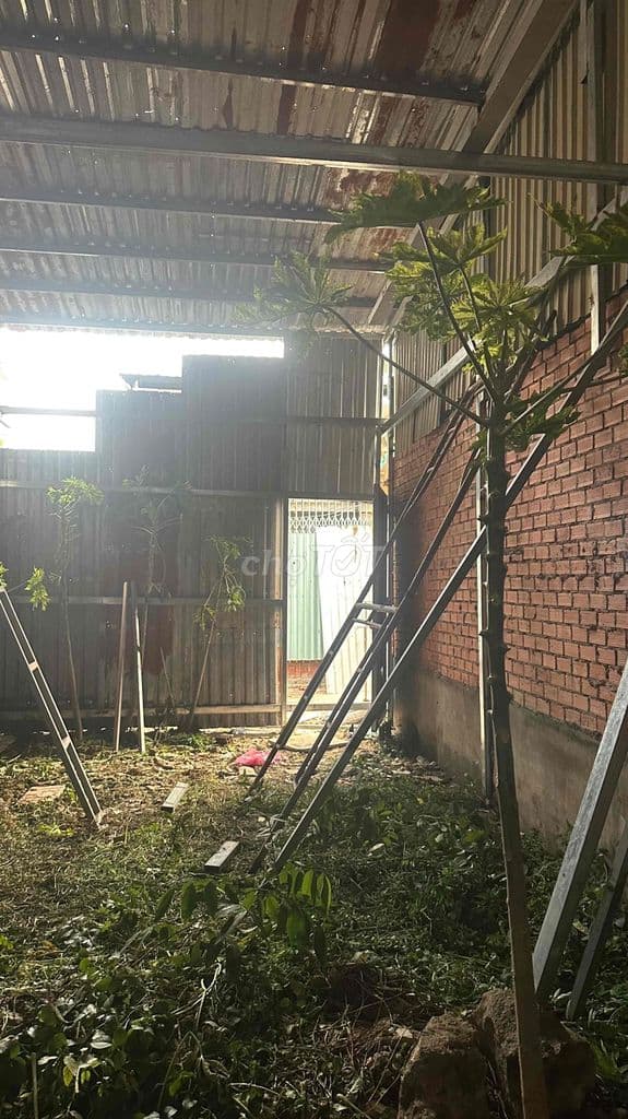 Đất 4.2x10 - Ảnh 2