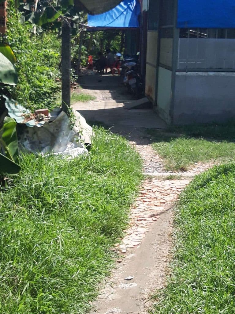 Đất cần bán - Ảnh 3