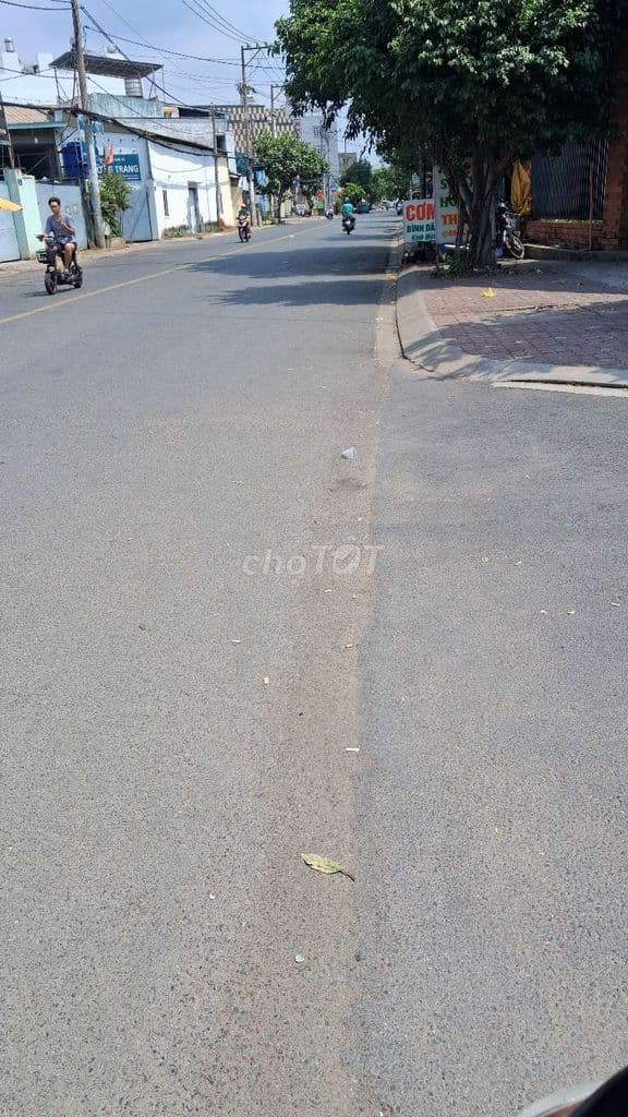 Bán đất hẻm xe hơi đường trương Đình Hội - Ảnh 3