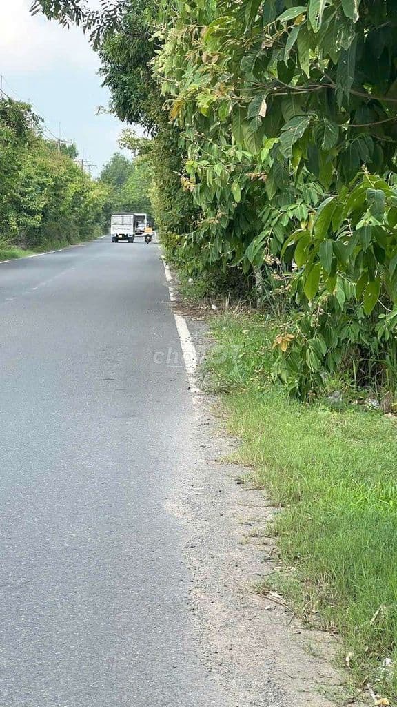 Bán đất củ chi nhuận Đức bà thiên - Ảnh 3