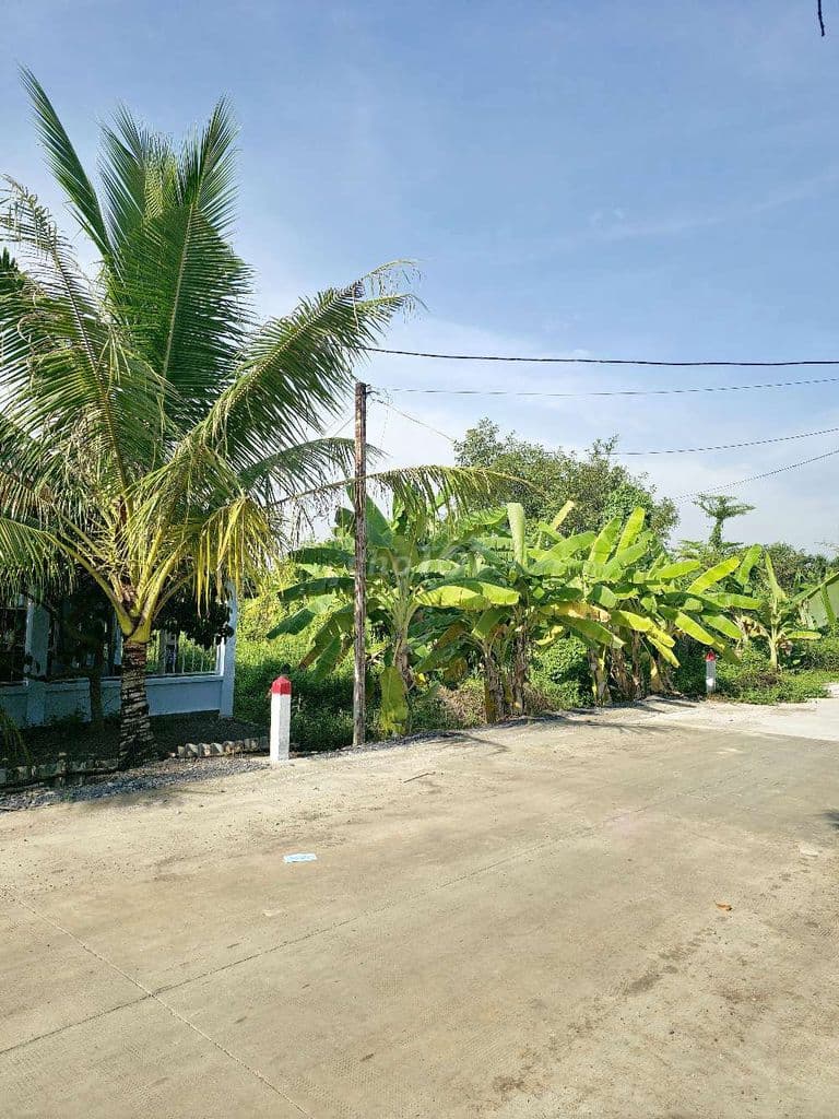 Đất Cây Lâu Năm Bình Mỹ Củ Chi 500m2 Mặt Tiền Đường 174 Giá 2.4 Tỷ - Ảnh 2
