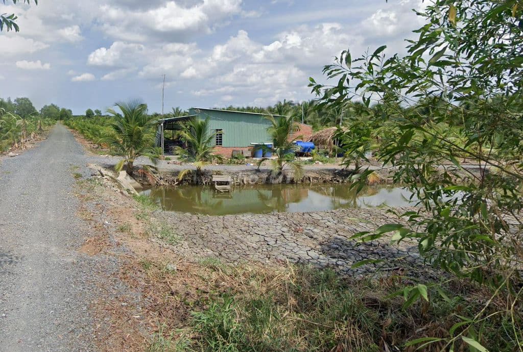 Bán đất vườn Lê Minh Xuân, Bình Chánh 1000m2 - Ảnh 3