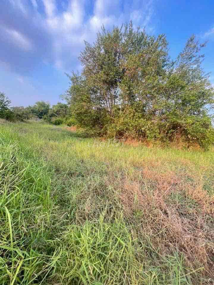 Chủ Bễ Nợ Bán 627m2 Đất Lúa Xã Tân Quý Tây - Ảnh 3