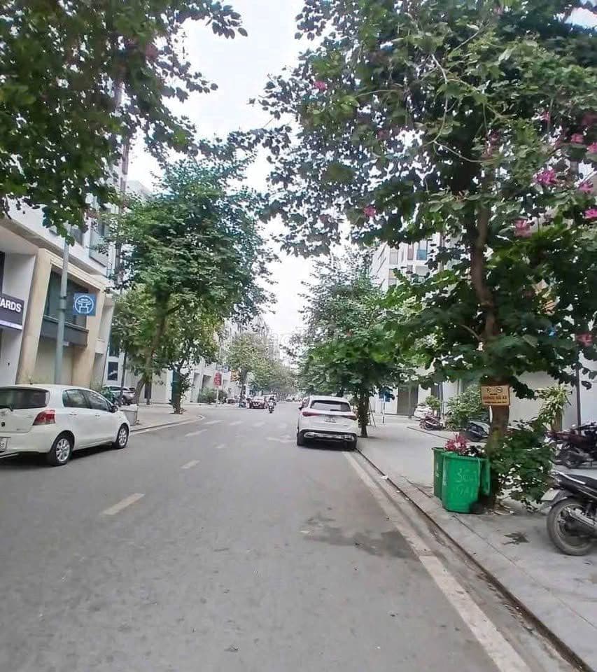 Cần bán gấp đất đường Lạc Hồng,Thanh Xuân,Hà Nội - Ảnh 3