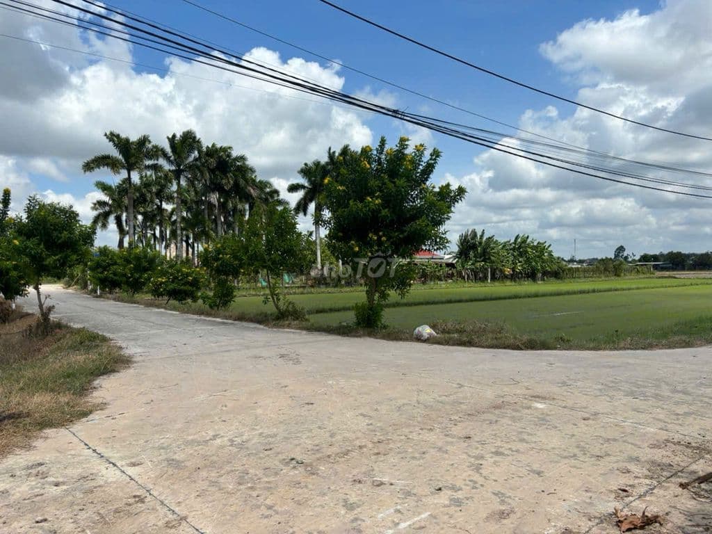 Bán đất huyện Củ Chi, xã Phước Thạnh, DT: 88m*21m, đường 9m, góc 2 MT - Ảnh 2