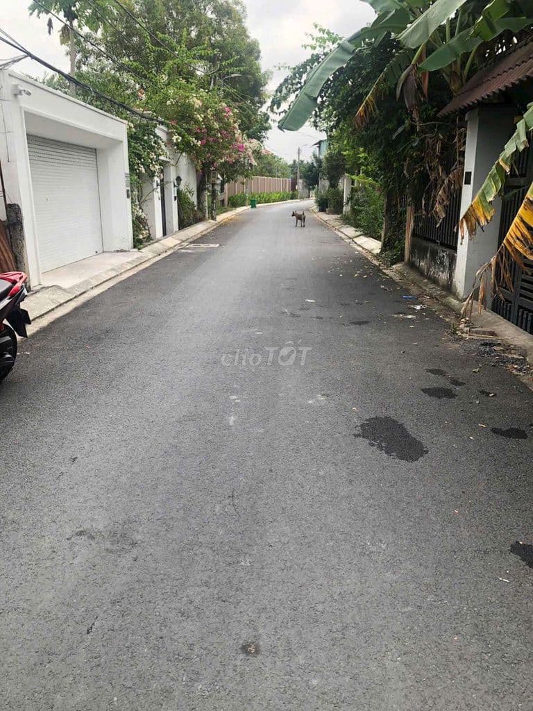 bán 500m đất trồng cây hàng năm, có đường 6m, - Ảnh 2
