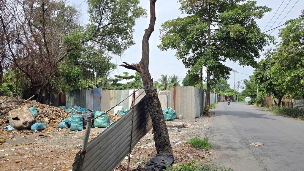 🔴Bán 1860m2 đất đường Rạch Cái Trung Tân Kiên Bình Chánh. Giá 2,5 Tỷ - Ảnh 3