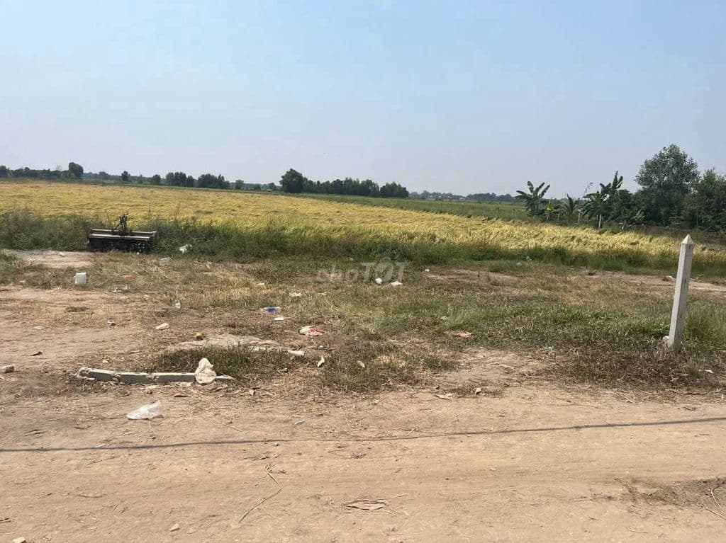 Quỹ đất lớn - Ảnh 3