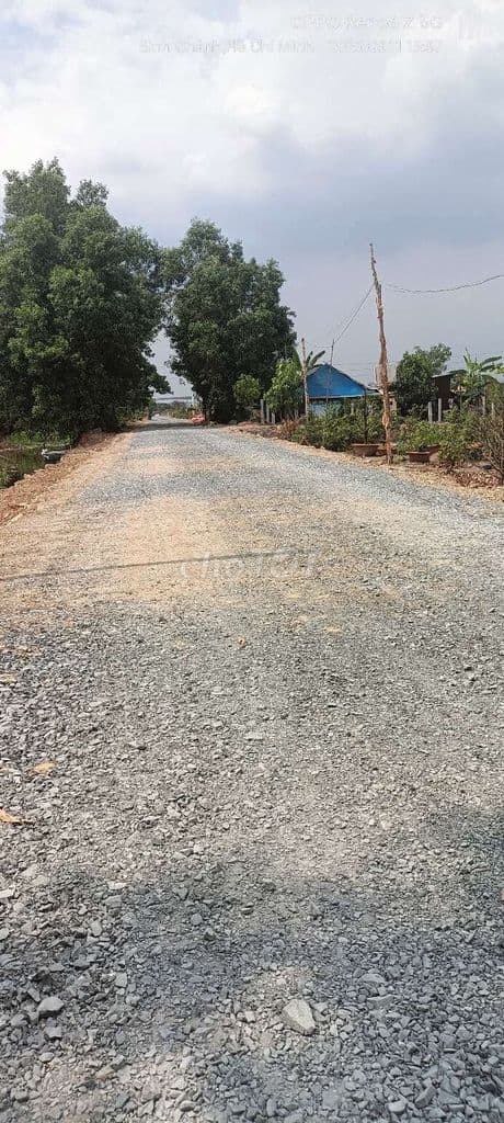 Bán Đất nông nghiệp mặt tiền Kênh 4, Vườn Thơm, Bình Lợi, Bình Chánh. - Ảnh 3