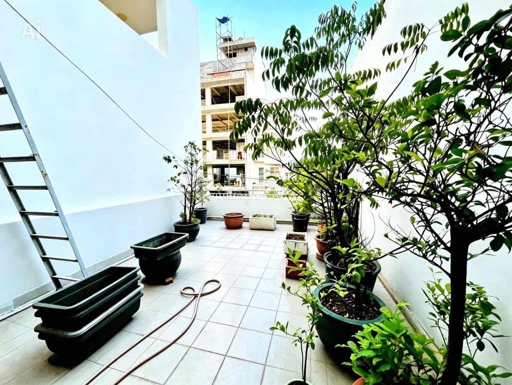 Mặt tiền Trần Quang Cơ - 81m2 - 3 tầng giá chỉ 12,5 tỷ thương lượng - Ảnh 3