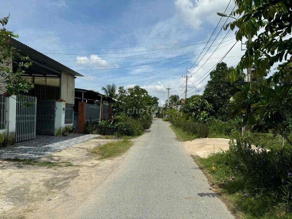 CHỦ BÁN GẤP ĐẤT CỦ CHI ĐƯỜNG NHỰA FULL THỔ - Ảnh 3