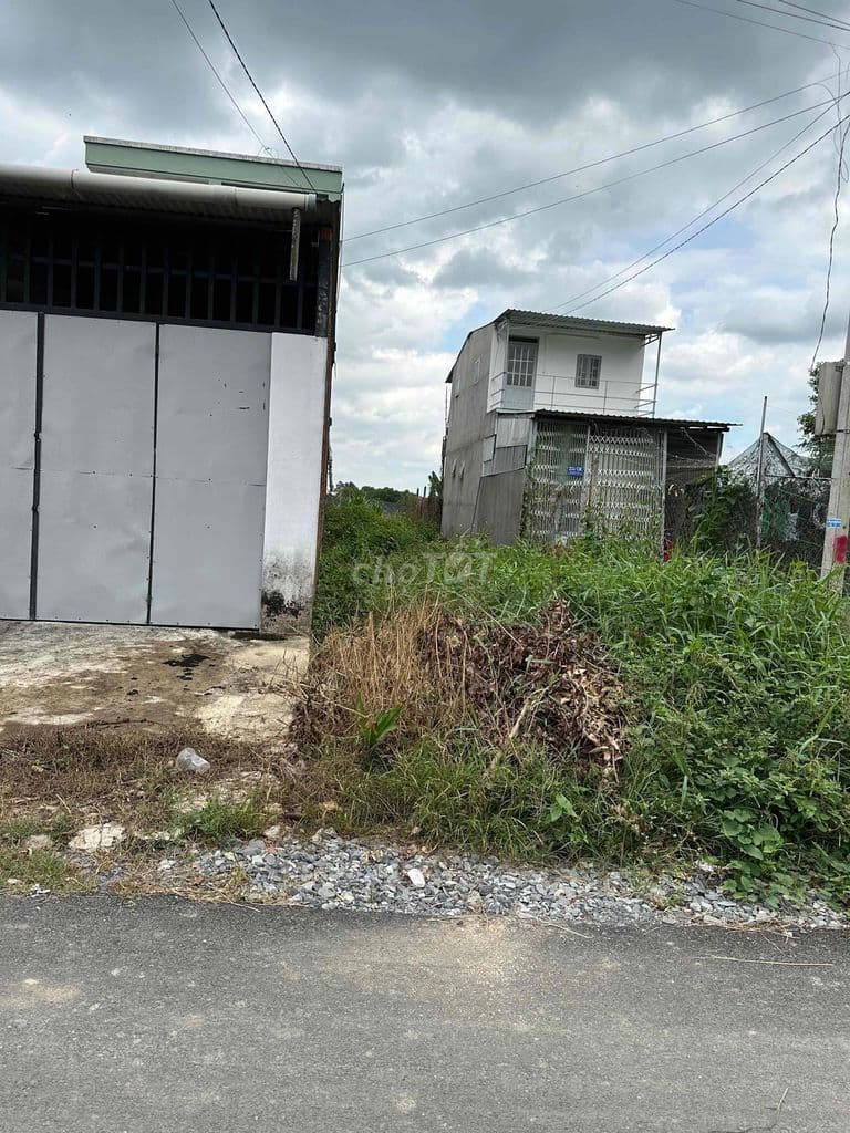 Bán đất đẹp Tân Thạnh Đông, Củ Chi – giá tốt, sổ riêng, đầu tư sinh lờ - Ảnh 2