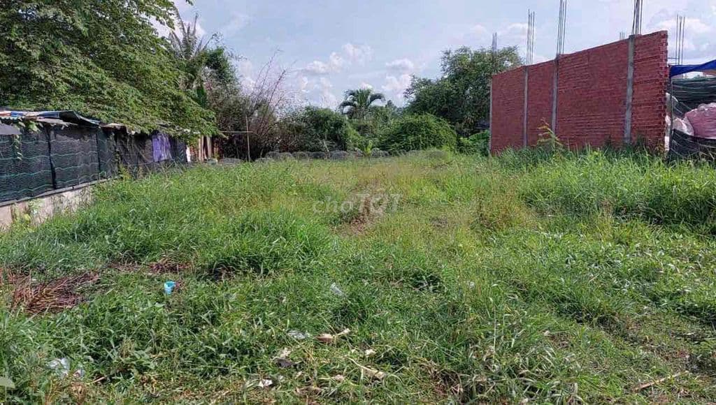 BÁN ĐẤT THỔ CƯ BÌNH CHÁNH GIÁ RẺ 2.209M2 GẦN VÀNH ĐAI 3 - Ảnh 2