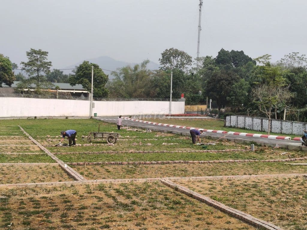 ĐẤT HÀ NỘI "GIÁ VÙNG TRŨNG" – SỔ ĐỎ SẴN TAY - Ảnh 3