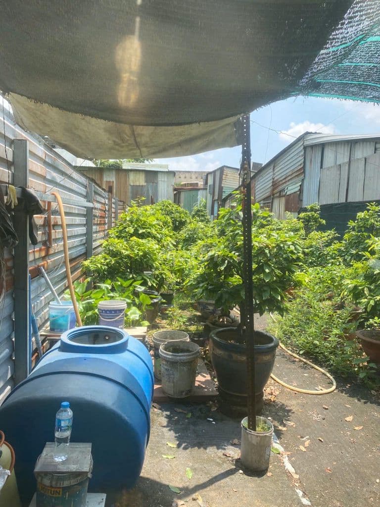 🚨 CHỦ CẦN VỐN–CHO ĐI GẤP 137M² - HIỆP BÌNH PHƯỚC, CHỈ 5.8 TỶ! 🚨 - Ảnh 3