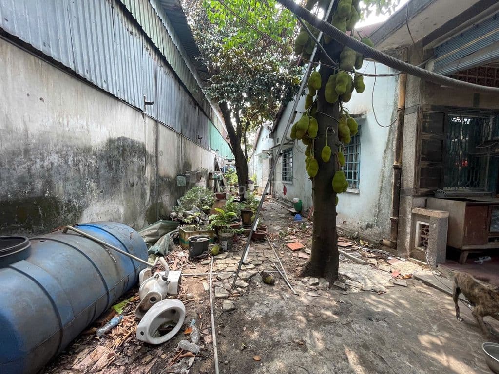 Bán đất Mặt tiền Nguyễn Hữu Tiến 3000m2 siêu phẩm dành cho cá mập - Ảnh 3