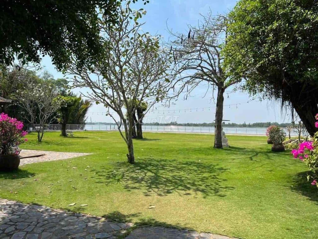 ❌ Bán đất Long Phước - Quận 9 ( nhiều diện tích 1000 - 50.000m) - Ảnh 3