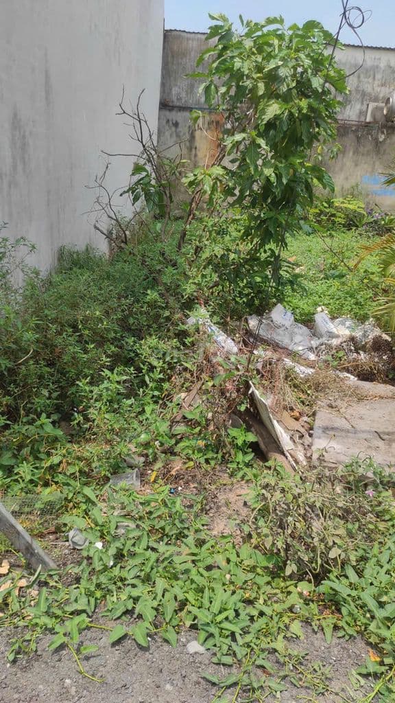 Đất nhà cần bán giá rẻ - Ảnh 3