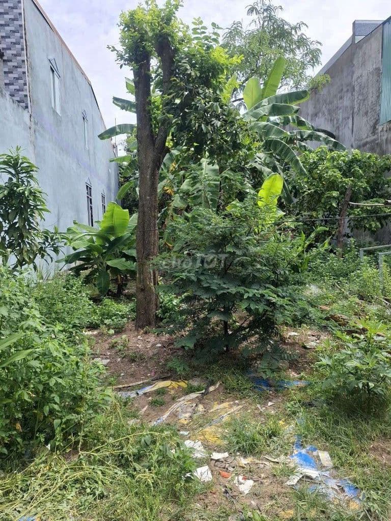 bán lô đất Đại Phước mở rộng, 156m2 - Ảnh 3