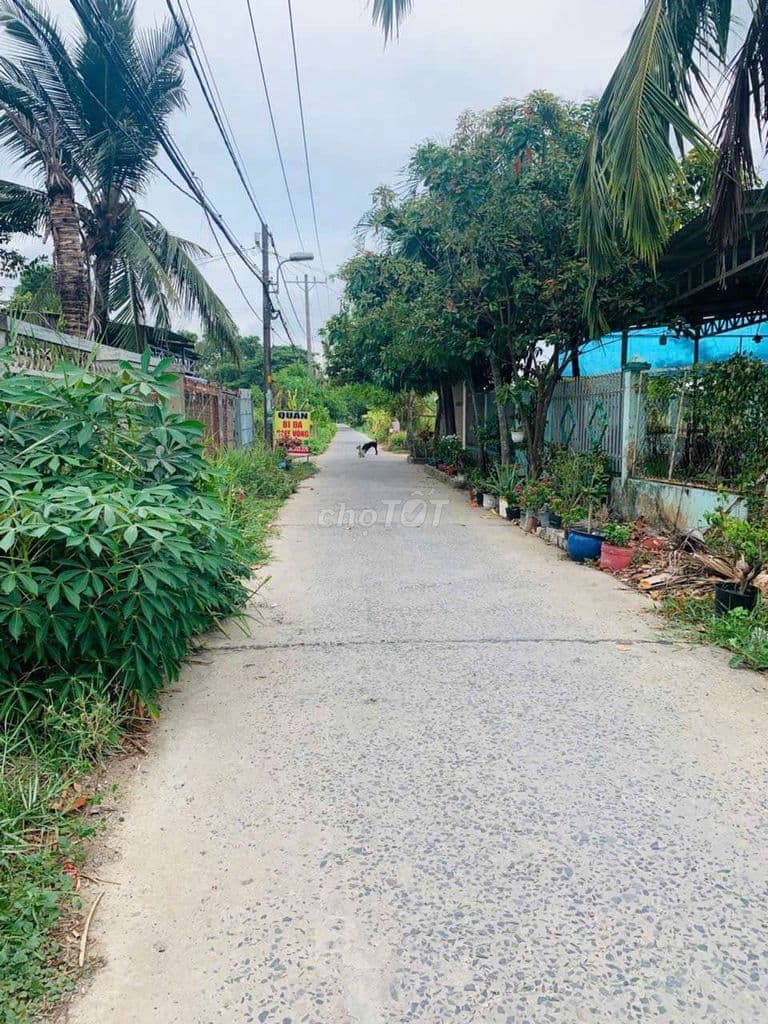 ĐẤT SẠCH FULL THỔ CƯ - ĐÃ CÓ GIẤY PHÉP XÂY DỰNG - XÃ HIỆP PHƯỚC - Ảnh 2