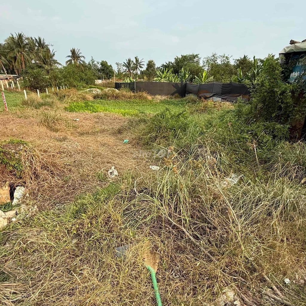 Bán đất vừơn 5x30m mặt tiền hẻm c1 - Ảnh 2