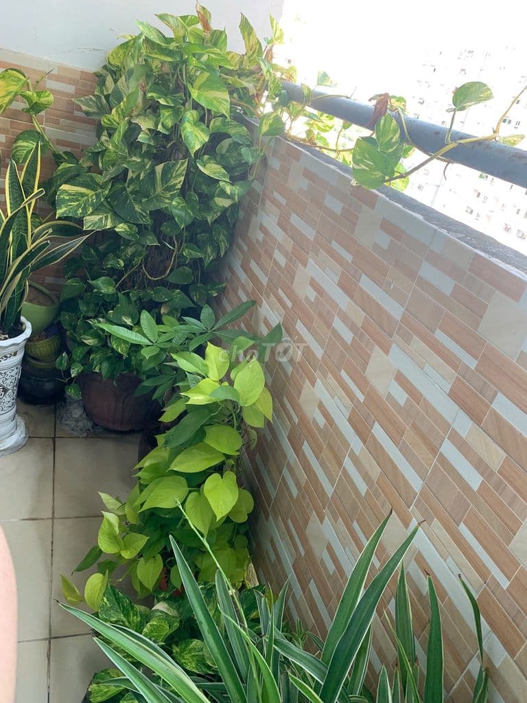 CĂN SỔ HỒNG SẲN SANG TÊN LUÔN,NHÀ ĐẸP GIÁ 1.4 TỶ.CHỦ DỄ THƯƠNG - Ảnh 2